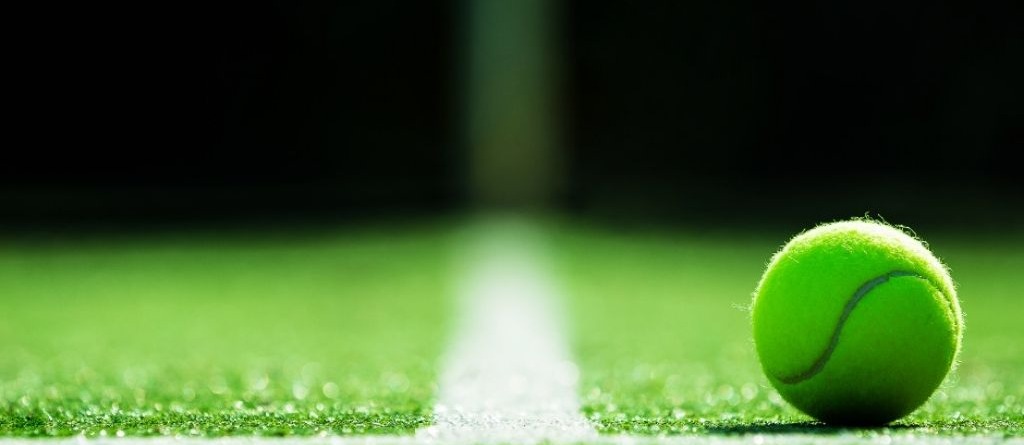 Tennis ball on artificial grass