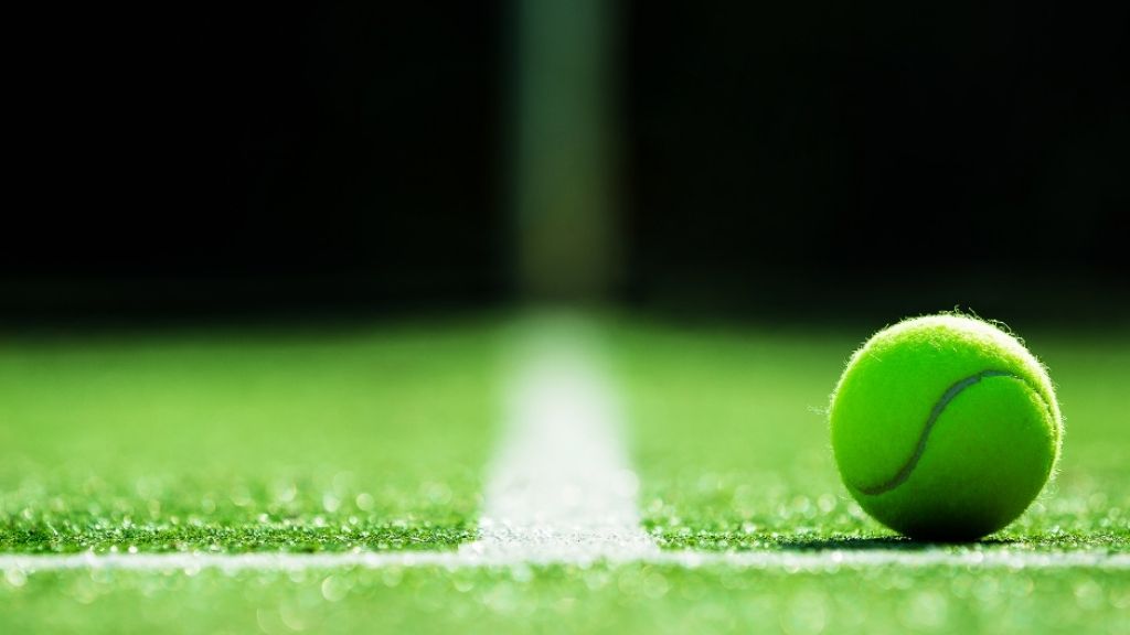 Tennis ball on artificial grass