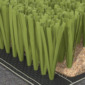 Tennis Artificial Grass